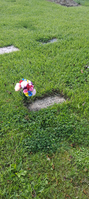 Flower delivery for Tracey J Taylor