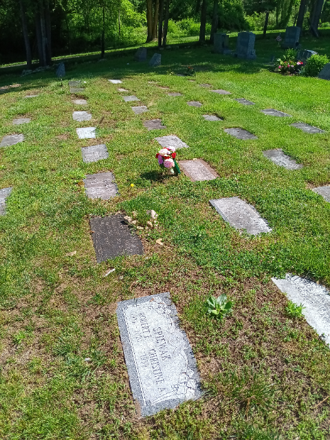 Flower delivery for Leroy Patrick Fitzgerald