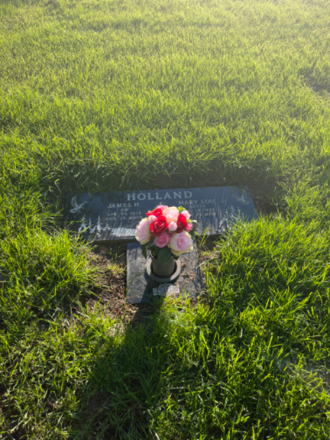Flower delivery for Mary Lou Holland