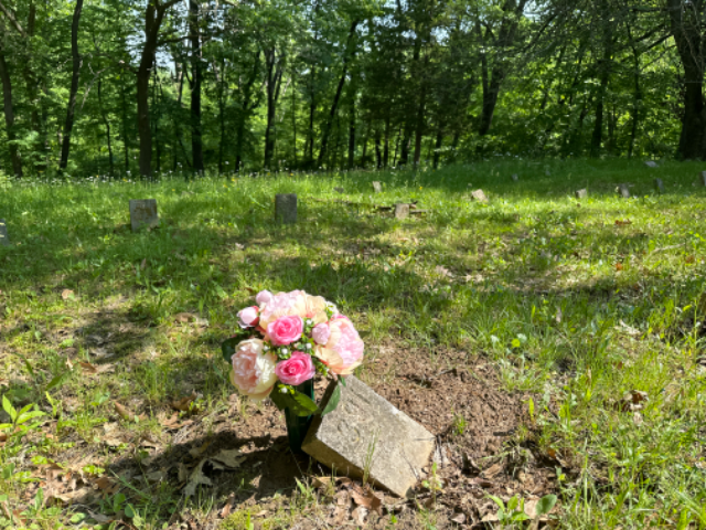 Flower delivery for Caroline Essler