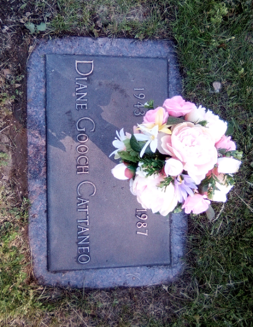 Flower delivery for Diane Cattaneo