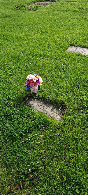 Flower delivery for Tracey J Taylor