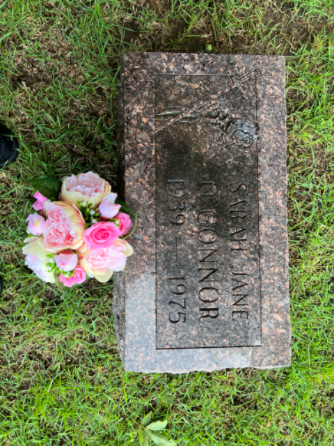 Flower delivery for Sarah Jane O’Connor