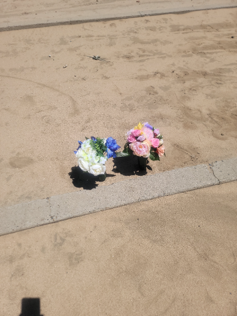 Flower delivery for Samuel Clyde Lewis