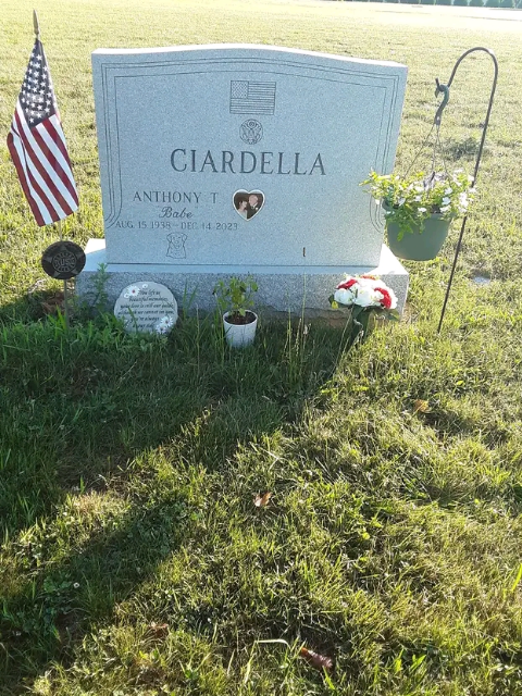 Flower delivery for Anthony Ciardella