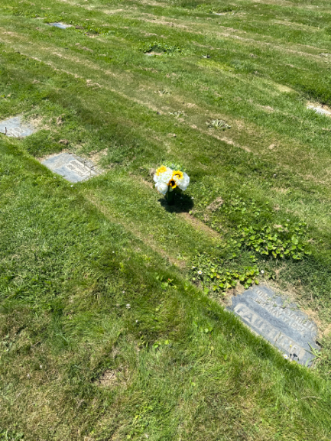 Flower delivery for Thomas Brown