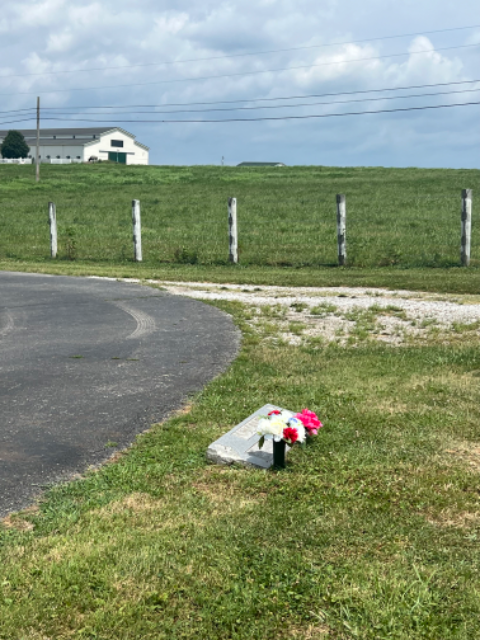Flower delivery for Jean S Noland
