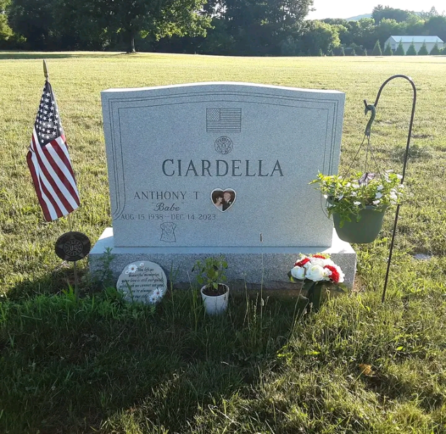 Flower delivery for Anthony Ciardella