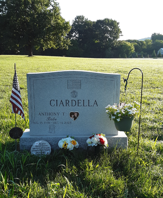 Flower delivery for Ciardella T. Ciardella