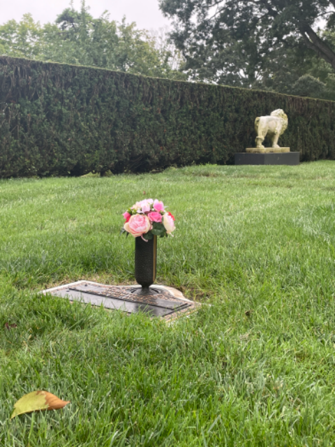 Flower delivery for Rahim Nejati