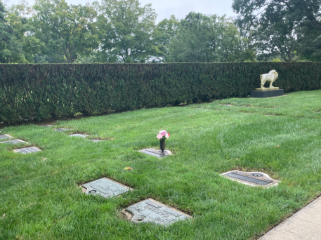 Flower delivery for Rahim Nejati