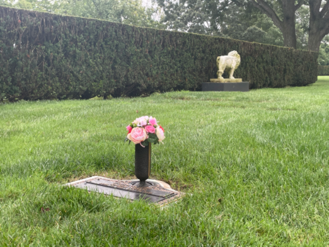 Flower delivery for Rahim Nejati