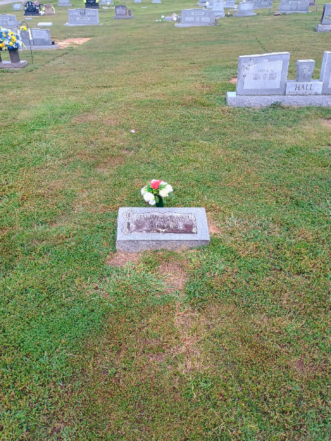 Flower delivery for Opal Landon