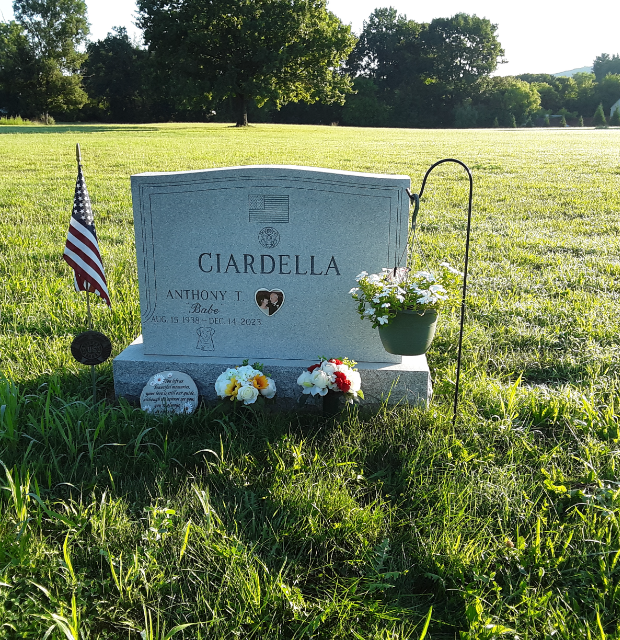 Flower delivery for Ciardella T. Ciardella