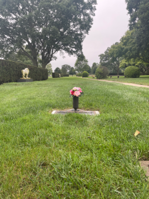 Flower delivery for Rahim Nejati