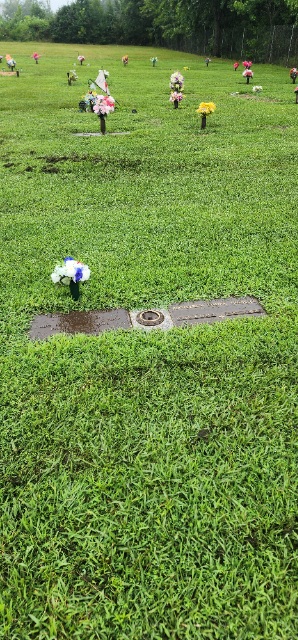 Flower delivery for James Hugh Hudnell