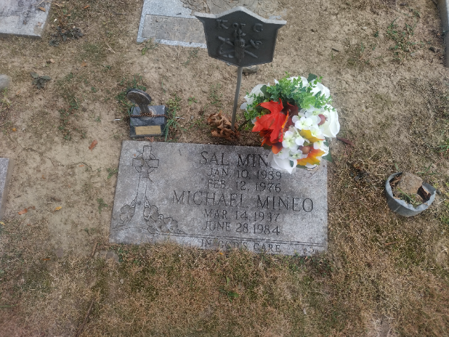 Flower delivery for Sal Mineo