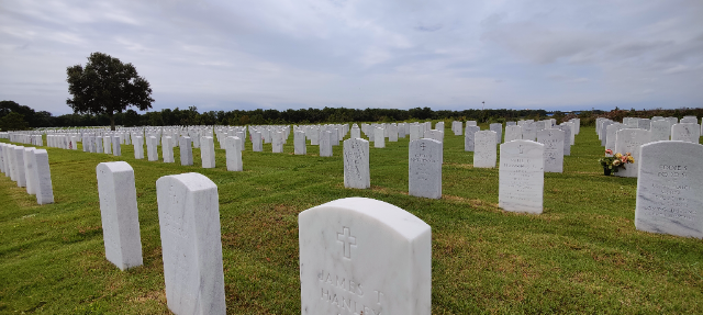 Flower delivery for James T Hanley