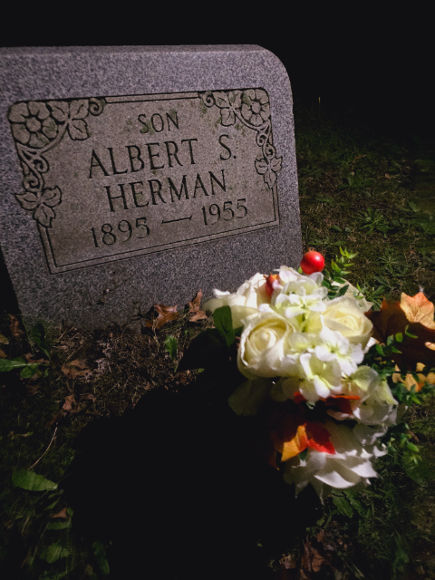 Flower delivery for Albert S Herman