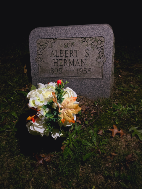 Flower delivery for Albert S Herman