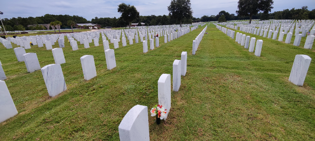 Flower delivery for James T Hanley