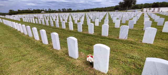 Flower delivery for James T Hanley