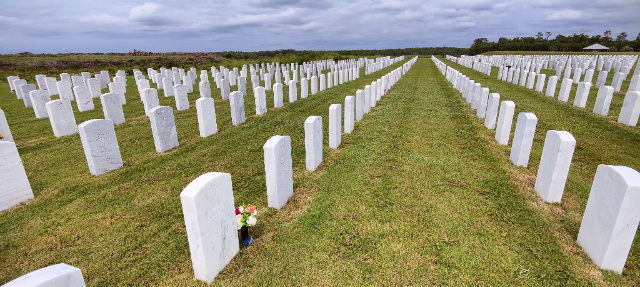 Flower delivery for James T Hanley