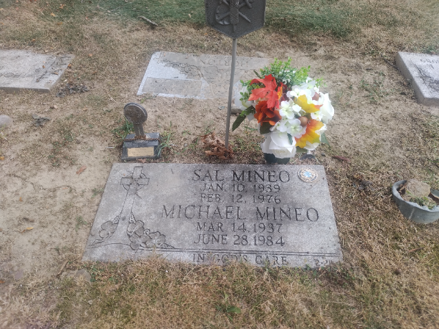 Flower delivery for Sal Mineo