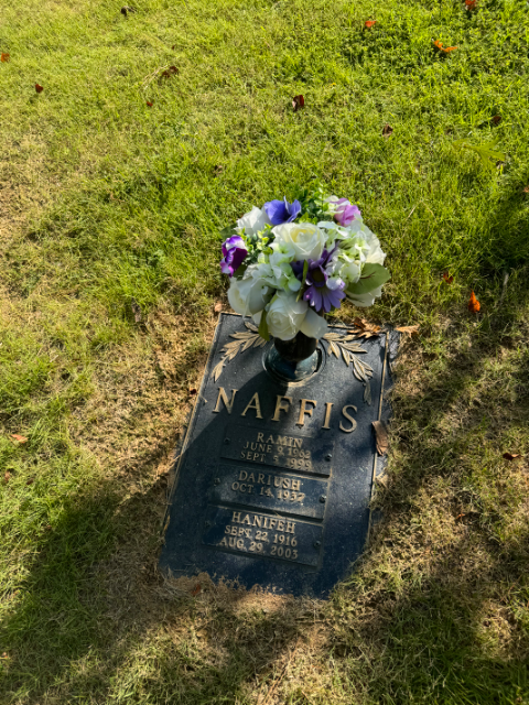 Flower delivery for Ramin Naffis