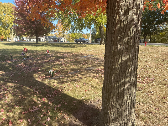 Flower delivery for Deborah L Ritchel