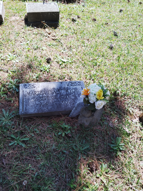 Flower delivery for Martha Elaine wyche Colts