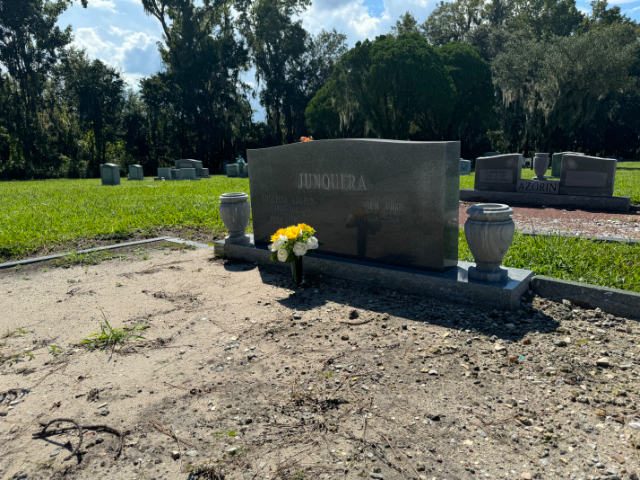 Flower delivery for Josefita Junquera