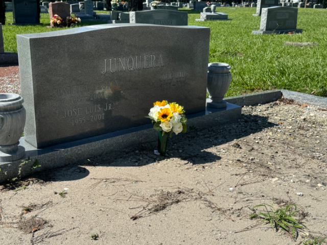 Flower delivery for Josefita Junquera