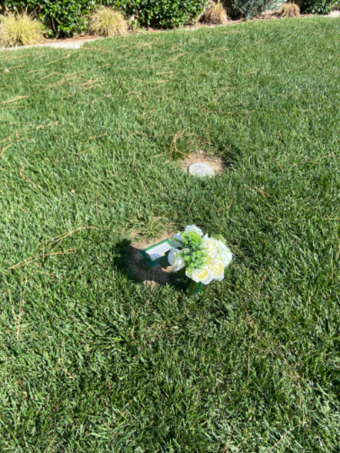 Flower delivery for Aaron Phillip Roth