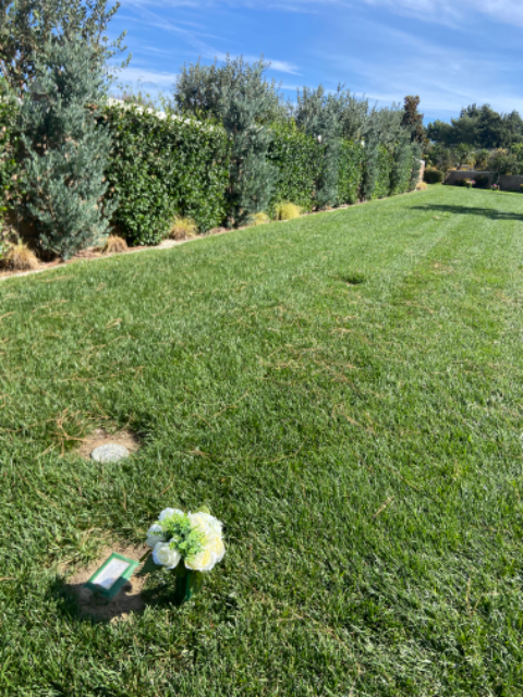 Flower delivery for Aaron Phillip Roth