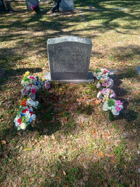 Flower delivery for Sonia Ludgero Da Silva