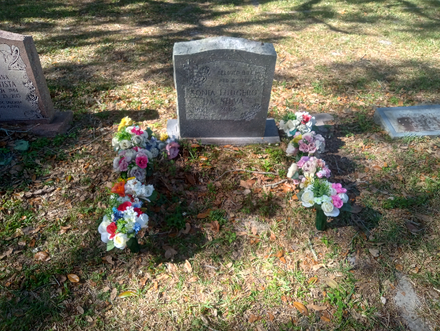 Flower delivery for Sonia Ludgero Da Silva