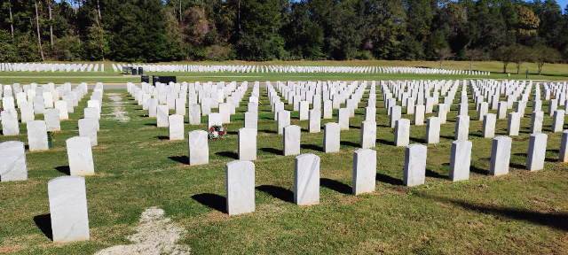 Flower delivery for Diane Kalivoda