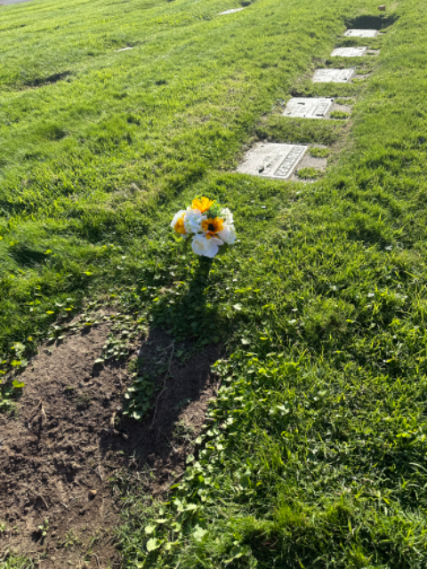 Flower delivery for Thomas Brown