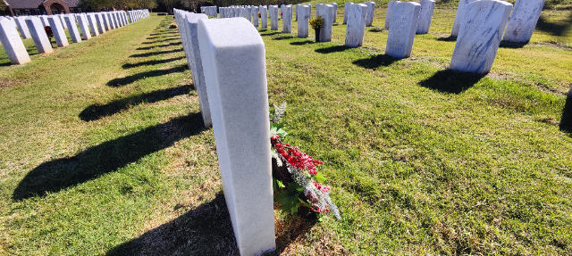 Flower delivery for Diane Kalivoda