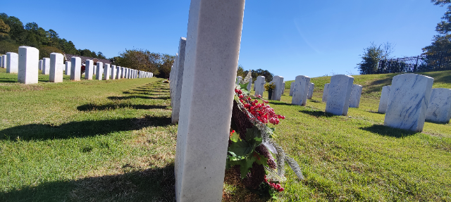 Flower delivery for Diane Kalivoda