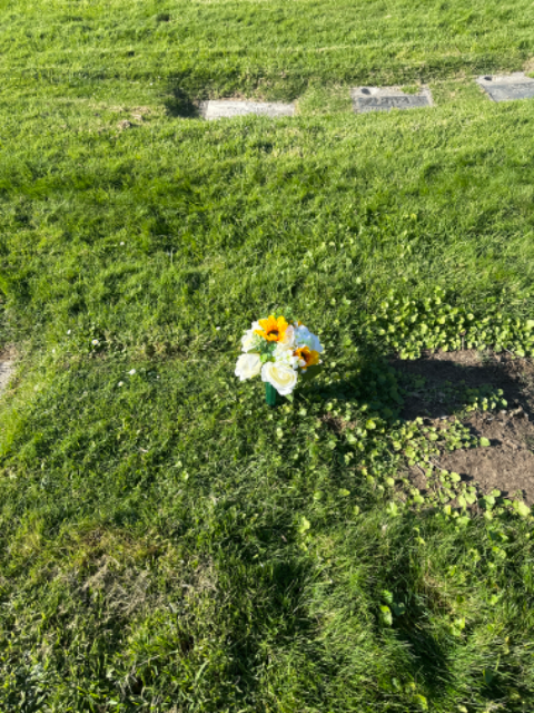 Flower delivery for Thomas Brown