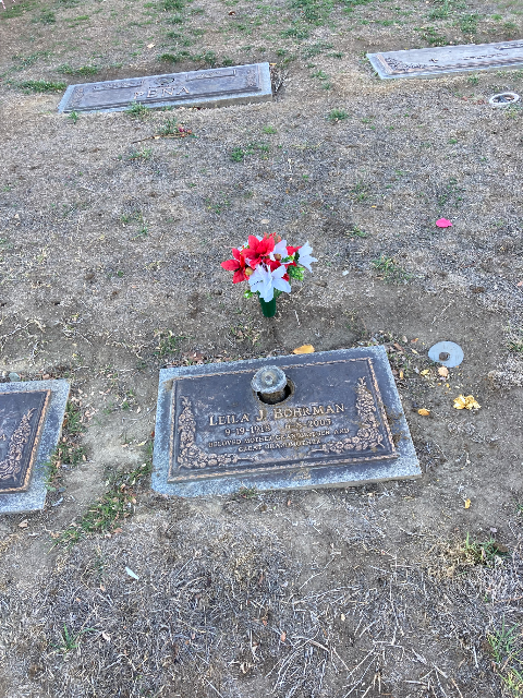 Flower delivery for Leila Jane Bohrman