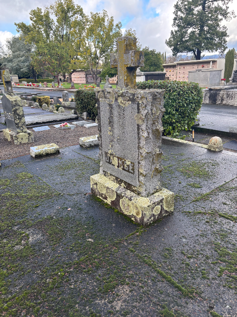 Flower delivery for Stephen Jackse