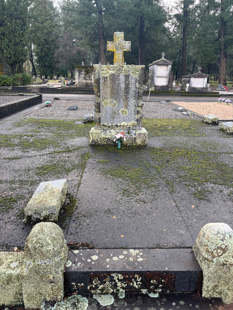 Flower delivery for Stephen Jackse