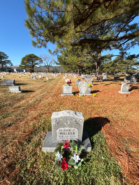Flower delivery for Elaine C Walker