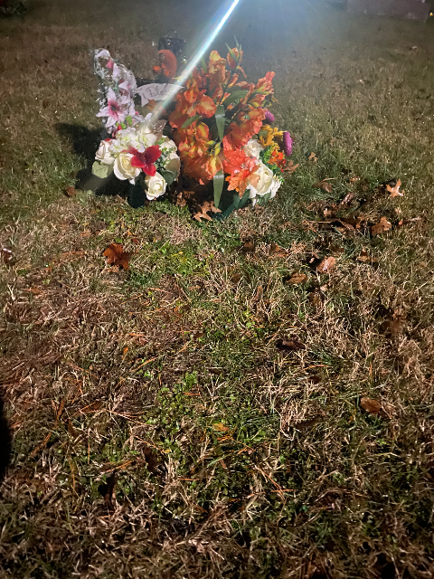 Flower delivery for Susan McCorristin