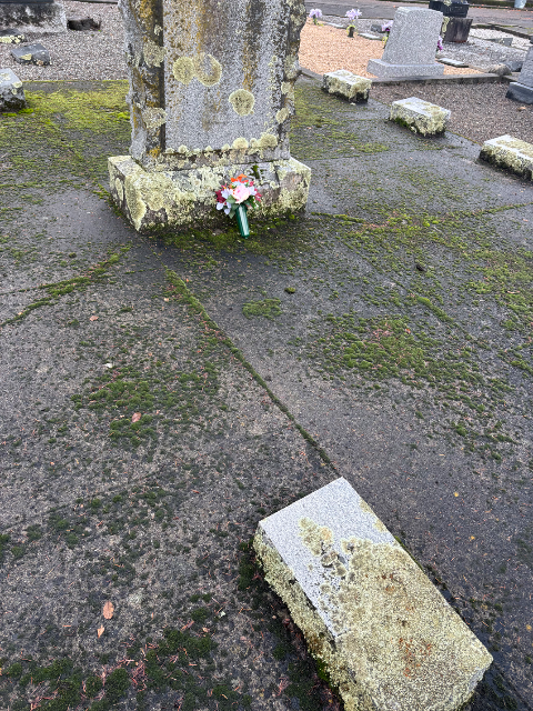 Flower delivery for Stephen Jackse