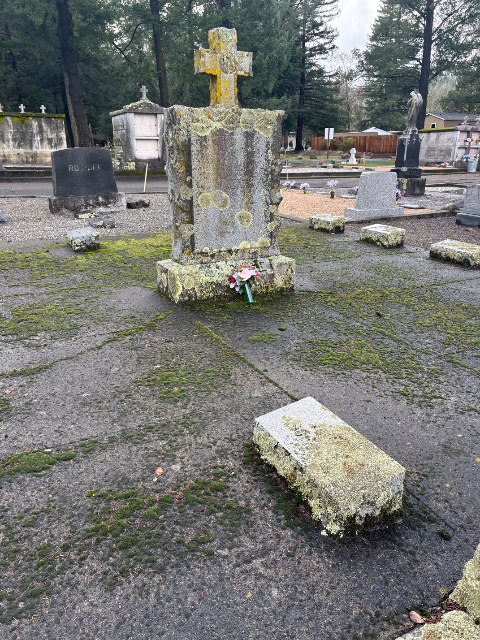 Flower delivery for Stephen Jackse