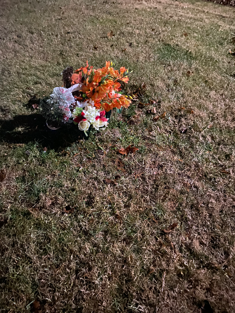 Flower delivery for Susan McCorristin